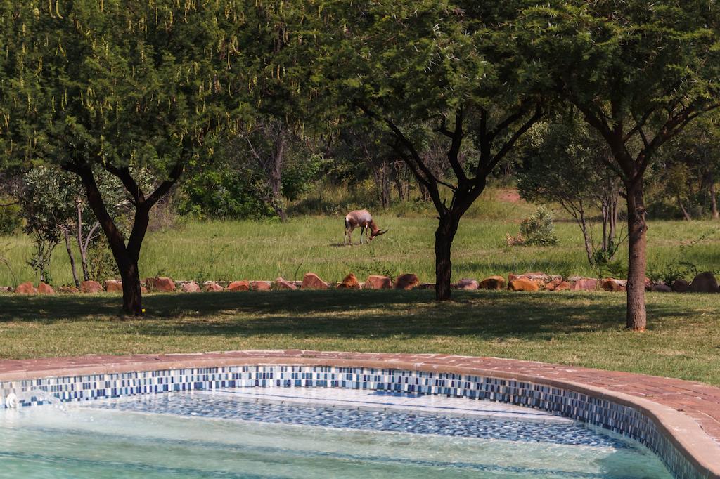 Birdsong Cottages Modimolle Exterior photo